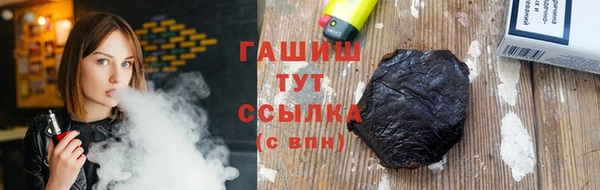 индика Гусев