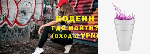шишки Гусь-Хрустальный