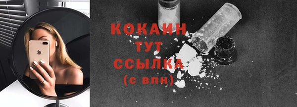 шишки Гусь-Хрустальный