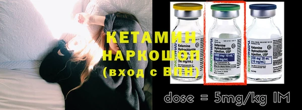 индика Гусев
