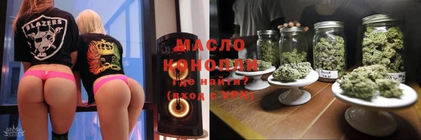 индика Гусев