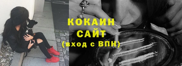 шишки Гусь-Хрустальный