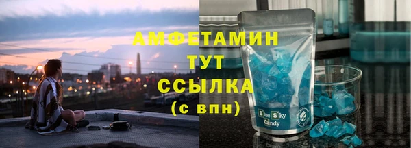 шишки Гусь-Хрустальный