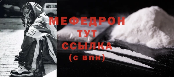 индика Гусев