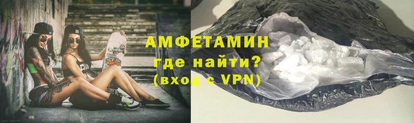 индика Гусев
