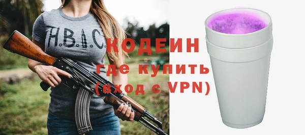 индика Гусев