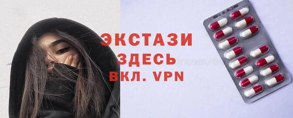 индика Гусев