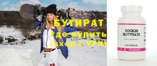 индика Гусев
