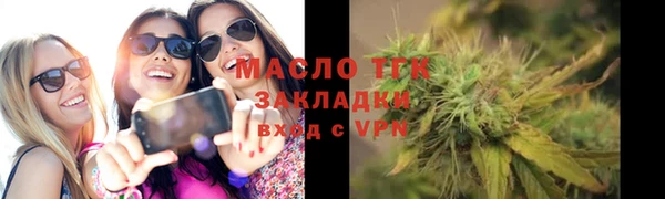 шишки Гусь-Хрустальный
