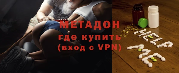 индика Гусев