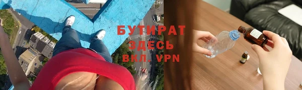 индика Гусев