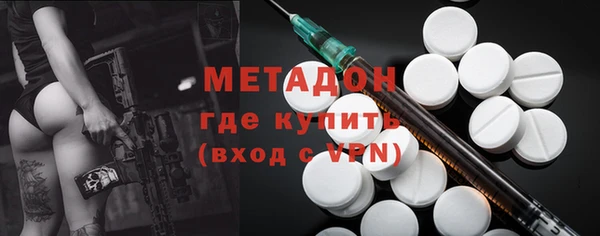 индика Гусев