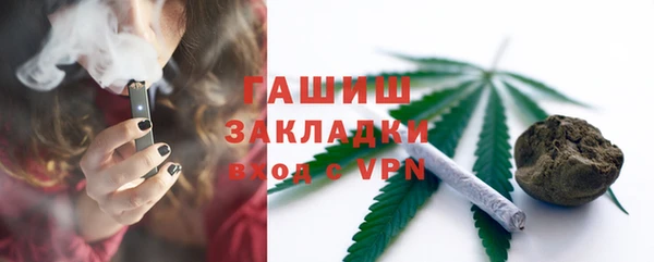 шишки Гусь-Хрустальный