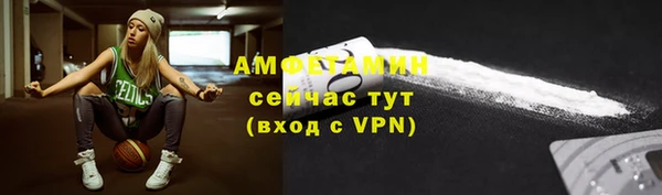 индика Гусев