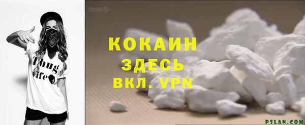 индика Гусев