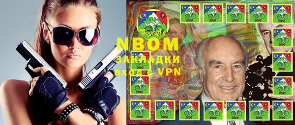 индика Гусев