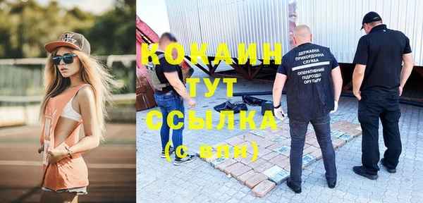 шишки Гусь-Хрустальный