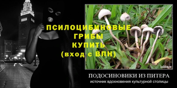 шишки Гусь-Хрустальный