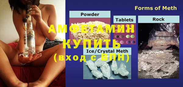 индика Гусев