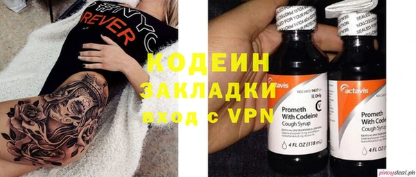шишки Гусь-Хрустальный