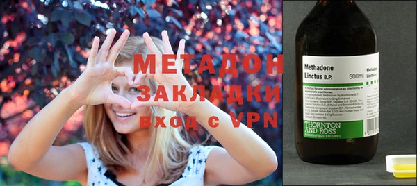 индика Гусев