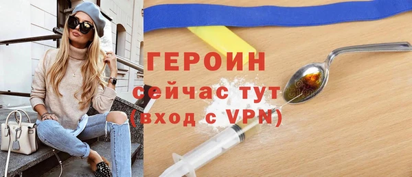 индика Гусев