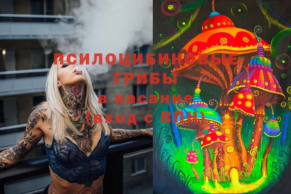 индика Гусев