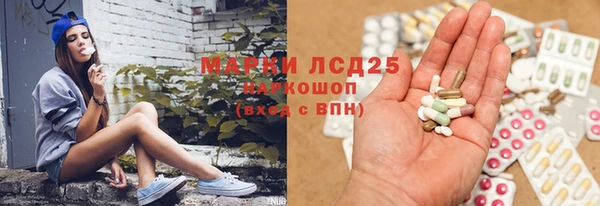 шишки Гусь-Хрустальный