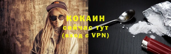 шишки Гусь-Хрустальный