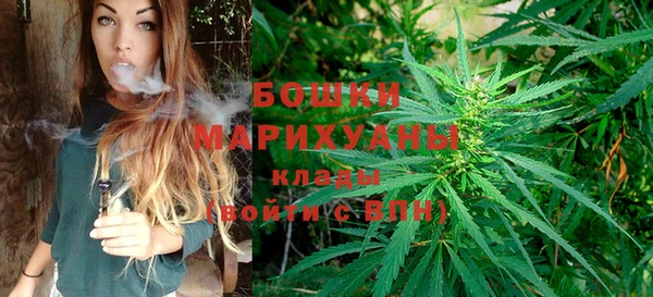 индика Гусев