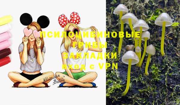 индика Гусев