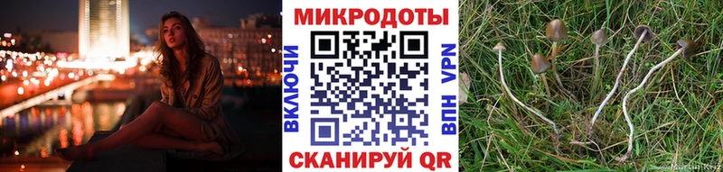 Псилоцибиновые грибы мухоморы  Тайшет 